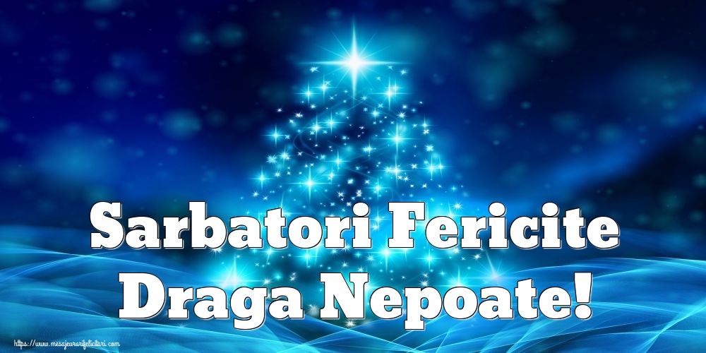 Felicitari de Craciun pentru Nepot - Sarbatori Fericite draga nepoate!
