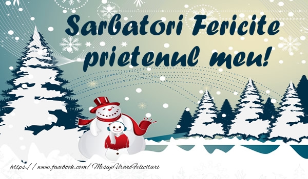 Felicitari de Craciun pentru Prieten - Sarbatori fericite prietenul meu!