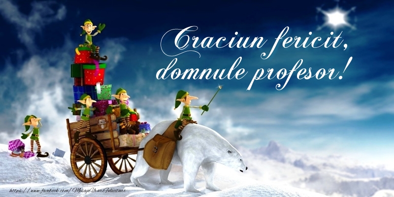 Felicitari de Craciun pentru Profesor - Craciun fericit, domnule profesor!