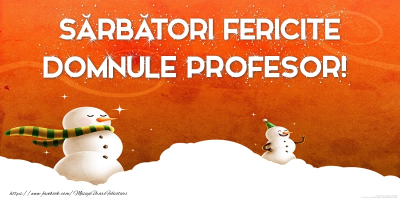 Felicitari de Craciun pentru Profesor - Sărbători Fericite domnule profesor!