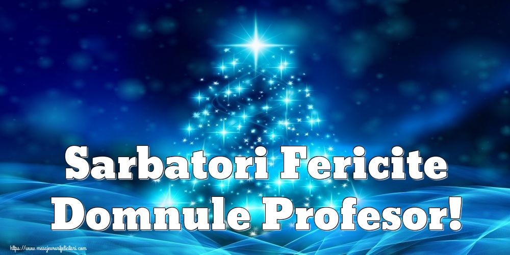 Felicitari de Craciun pentru Profesor - Sarbatori Fericite domnule profesor!