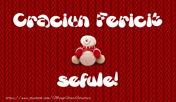 Felicitari de Craciun pentru Sef - Craciun Fericit sefule!