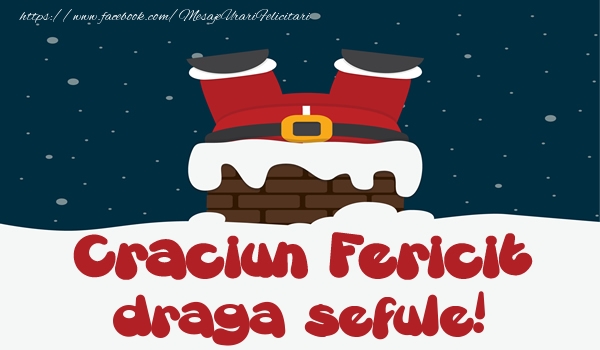 Felicitari de Craciun pentru Sef - Craciun Fericit draga sefule!
