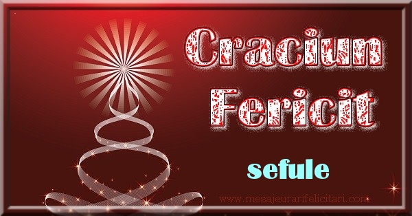 Felicitari de Craciun pentru Sef - Craciun Fericit sefule