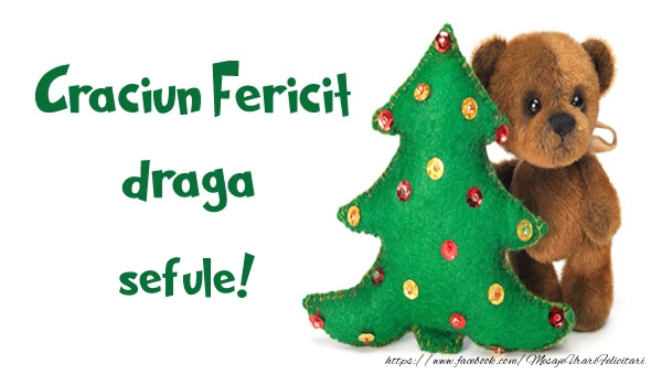 Felicitari de Craciun pentru Sef - Craciun Fericit draga sefule!