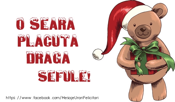 Felicitari de Craciun pentru Sef - O seara placuta draga sefule!