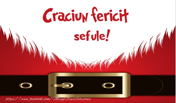 Felicitari de Craciun pentru Sef - Craciun Fericit sefule!