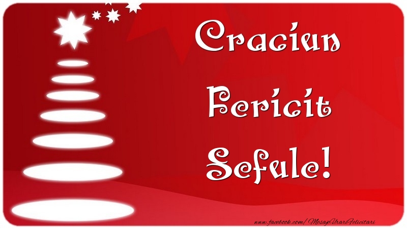 Felicitari de Craciun pentru Sef - Craciun Fericit sefule