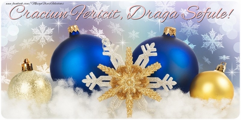 Felicitari de Craciun pentru Sef - Craciun Fericit, draga sefule!