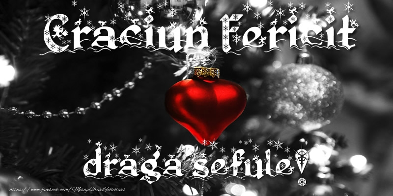 Felicitari de Craciun pentru Sef - Craciun Fericit draga sefule!