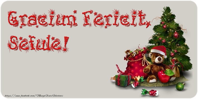 Felicitari de Craciun pentru Sef - Craciun Fericit, sefule