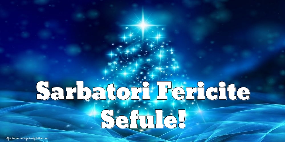 Felicitari de Craciun pentru Sef - Sarbatori Fericite sefule!