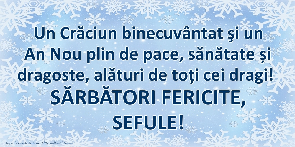 Felicitari de Craciun pentru Sef - Un Crăciun binecuvântat şi un An Nou plin de pace, sănătate și dragoste, alături de toți cei dragi! SĂRBĂTORI FERICITE, sefule!