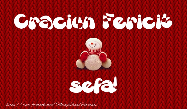 Felicitari de Craciun pentru Sefa - Craciun Fericit sefa!