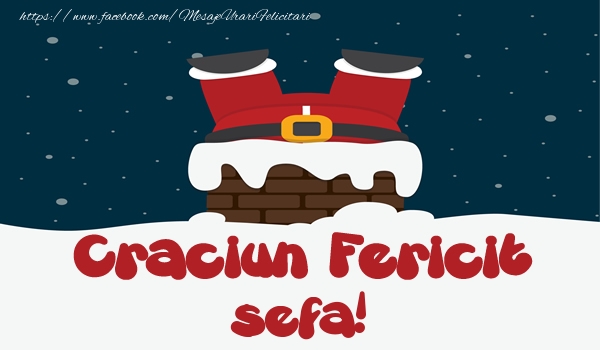 Felicitari de Craciun pentru Sefa - Craciun Fericit sefa!