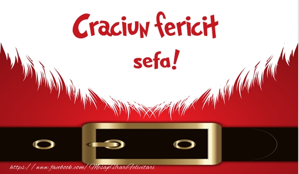 Felicitari de Craciun pentru Sefa - Craciun Fericit sefa!