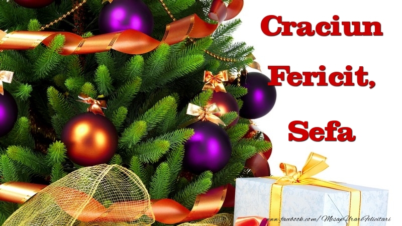 Felicitari de Craciun pentru Sefa - Craciun Fericit, sefa