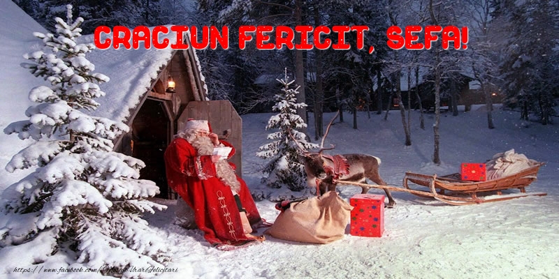 Felicitari de Craciun pentru Sefa - Craciun Fericit, sefa!