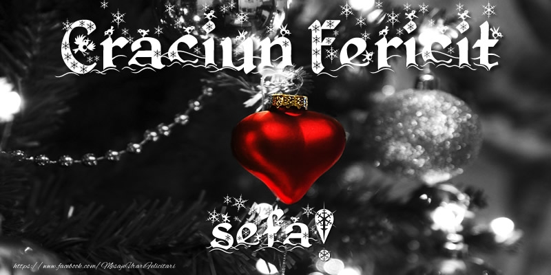 Felicitari de Craciun pentru Sefa - Craciun Fericit sefa!
