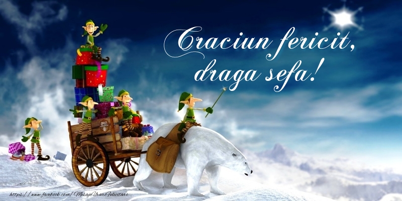 Felicitari de Craciun pentru Sefa - Craciun fericit, draga sefa!