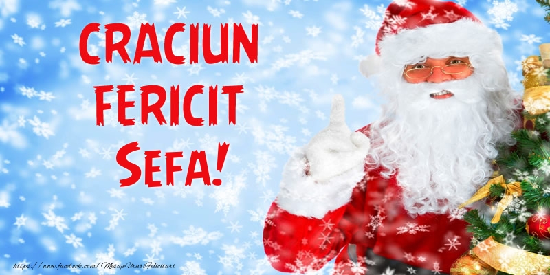 Felicitari de Craciun pentru Sefa - Craciun Fericit sefa!