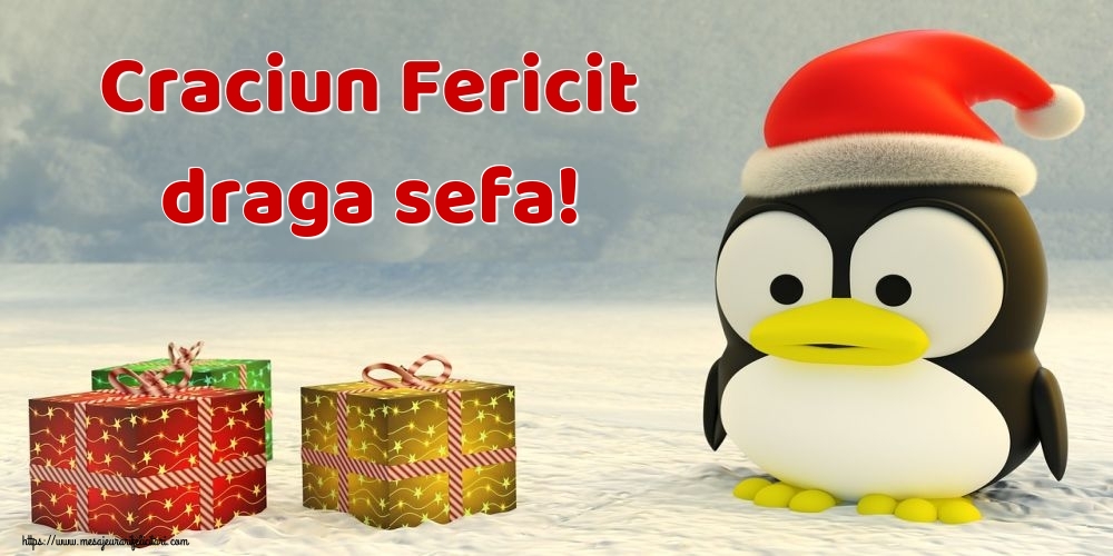 Felicitari de Craciun pentru Sefa - Craciun Fericit draga sefa!