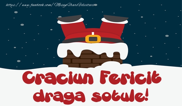 Felicitari de Craciun pentru Sot - Craciun Fericit draga sotule!
