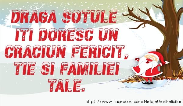 Felicitari de Craciun pentru Sot - Draga sotule iti doresc un Craciun fericit, tie si familiei tale