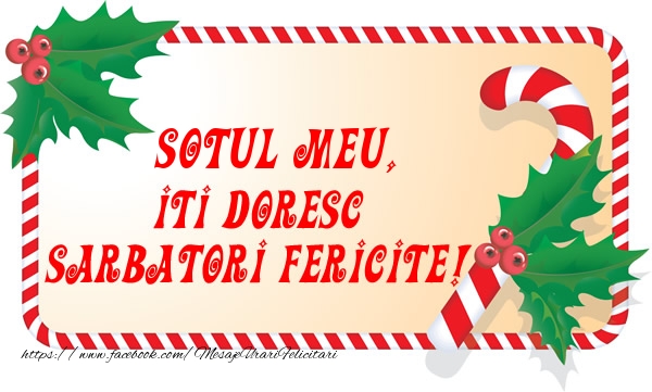 Felicitari de Craciun pentru Sot - Sotul meu Iti Doresc Sarbatori Fericite!