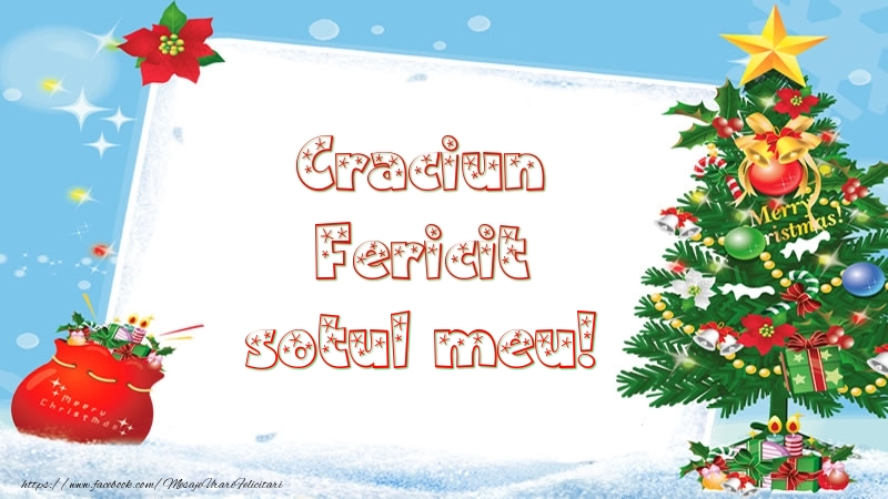 Felicitari de Craciun pentru Sot - Craciun Fericit sotul meu!