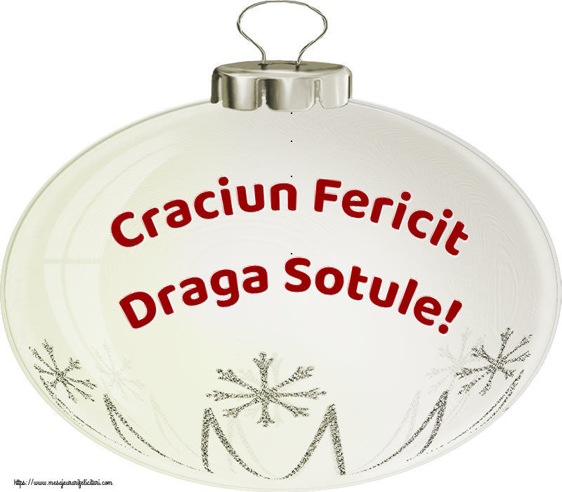 Felicitari de Craciun pentru Sot - Craciun Fericit draga sotule!