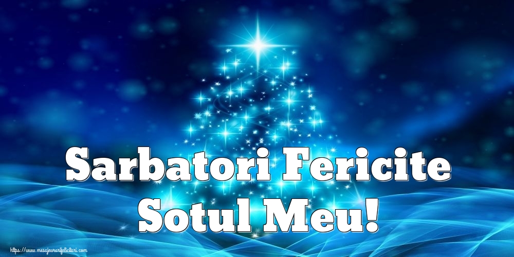 Felicitari de Craciun pentru Sot - Sarbatori Fericite sotul meu!