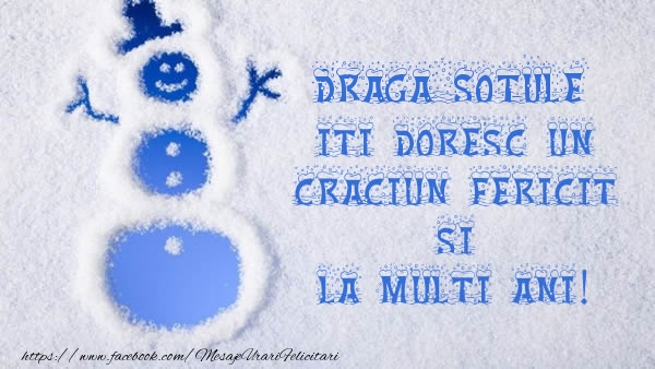 Felicitari de Craciun pentru Sot - Draga sotule iti doresc un Craciun Fericit si La multi ani!
