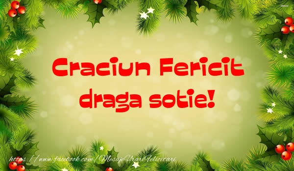 Felicitari de Craciun pentru Sotie - Craciun Fericit draga sotie!