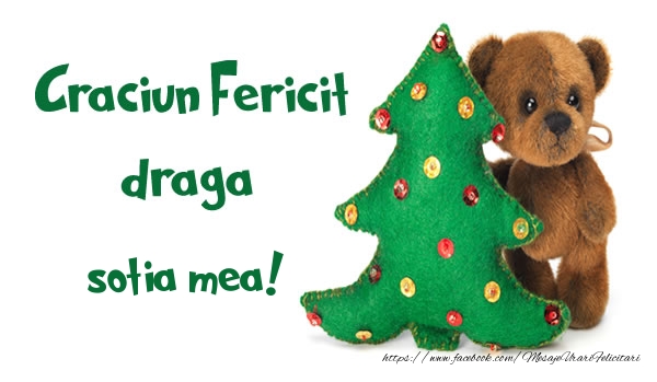 Felicitari de Craciun pentru Sotie - Craciun Fericit draga sotia mea!