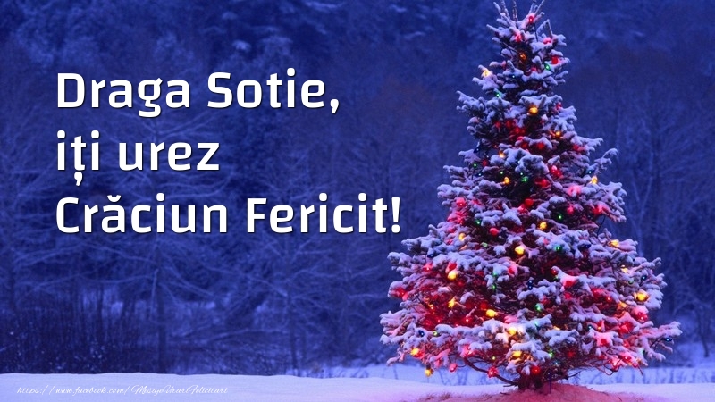 Felicitari de Craciun pentru Sotie - Draga sotie, iți urez Crăciun Fericit!