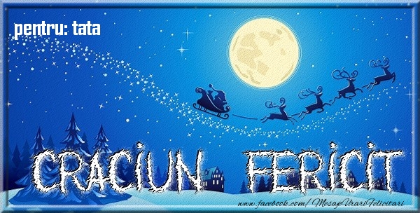 Felicitari de Craciun pentru Tata - Pentru tata Craciun Fericit