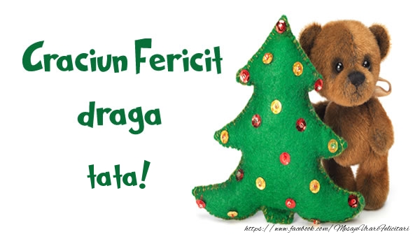 Felicitari de Craciun pentru Tata - Craciun Fericit draga tata!