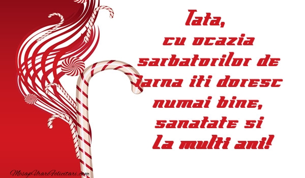 Felicitari de Craciun pentru Tata - Tata cu ocazia  sarbatorilor de iarna iti doresc numai bine, sanatate si La multi ani!