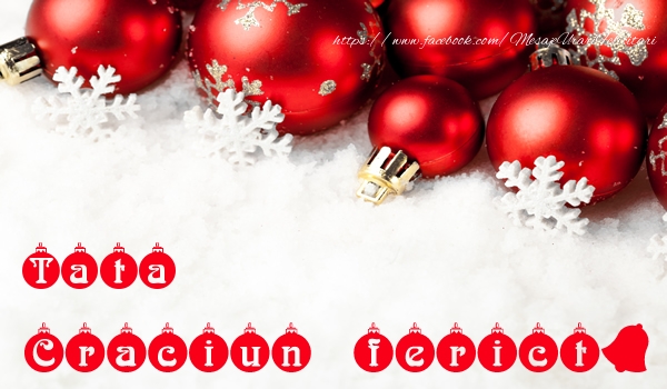 Felicitari de Craciun pentru Tata - Tata Craciun Fericit!