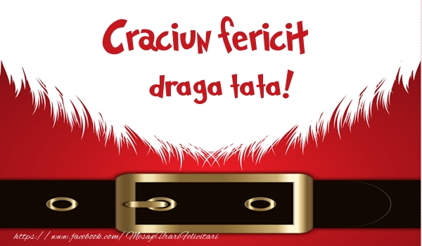 Felicitari de Craciun pentru Tata - Craciun Fericit draga tata!