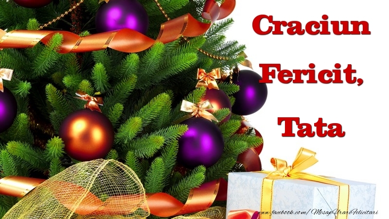 Felicitari de Craciun pentru Tata - Craciun Fericit, tata