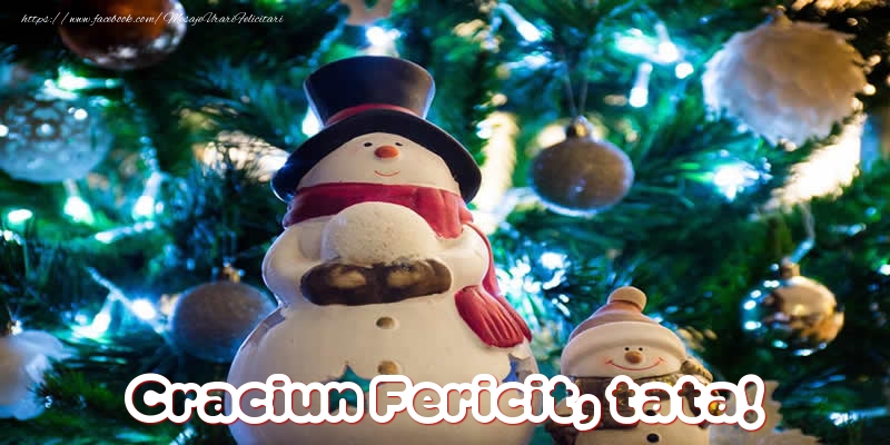 Felicitari de Craciun pentru Tata - Craciun Fericit, tata