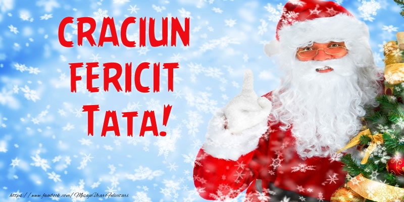 Felicitari de Craciun pentru Tata - Craciun Fericit tata!