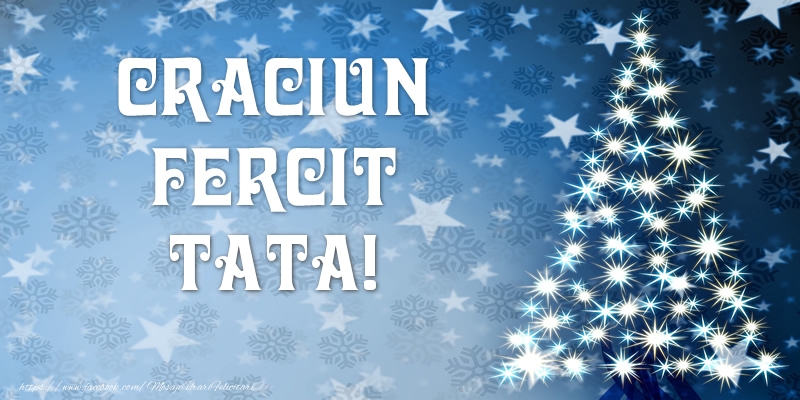 Felicitari de Craciun pentru Tata - Craciun Fericit tata!