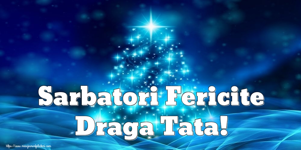 Felicitari de Craciun pentru Tata - Sarbatori Fericite draga tata!
