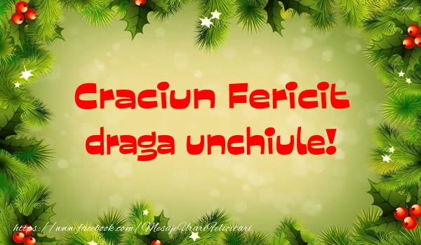 Felicitari de Craciun pentru Unchi - Craciun Fericit draga unchiule!