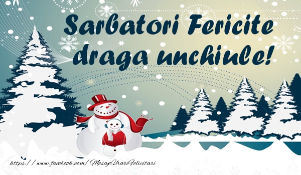 Felicitari de Craciun pentru Unchi - Sarbatori fericite draga unchiule!