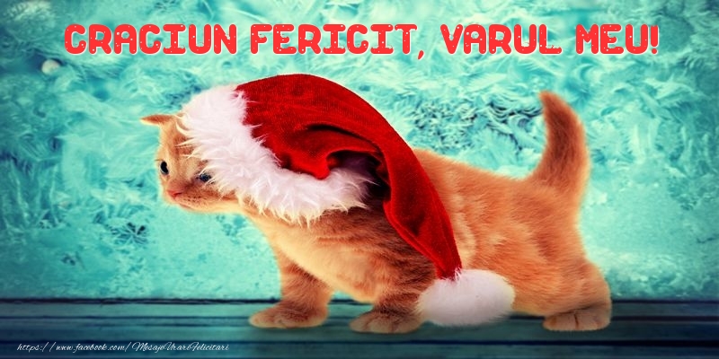 Felicitari de Craciun pentru Verisor - Craciun Fericit, varul meu!