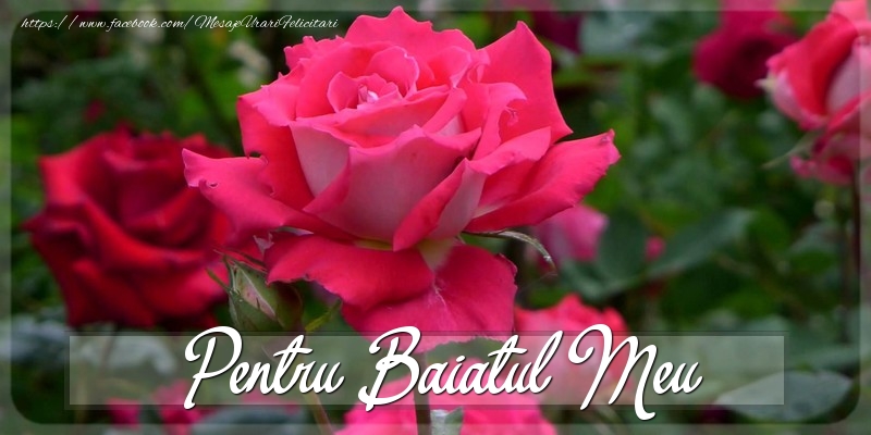 Felicitari Diverse pentru Baiat - Pentru baiatul meu